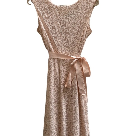 TAHARI Arthur S. Levine A-Line Lace Overlay Dress Blush Shimmer Floral Size 10P - Picture 3 of 14